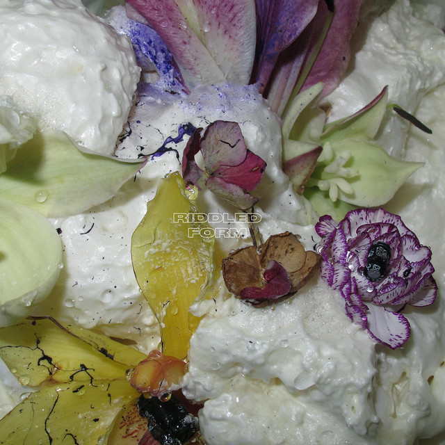 Riddled Form cover art