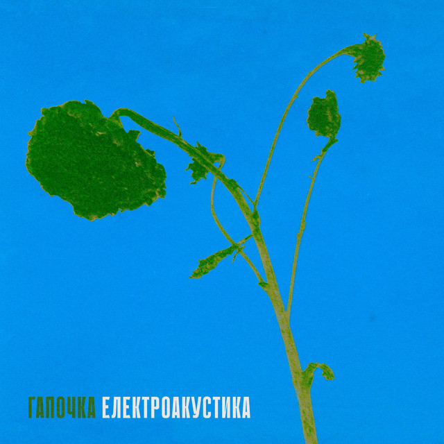 Cover art for Гапочка — Електроакустика
