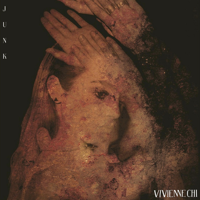 Junk cover art
