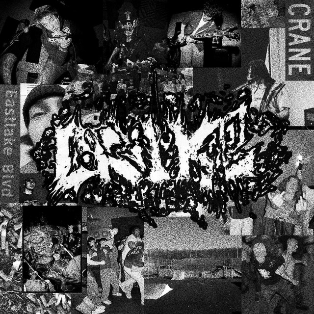 CRIKE cover art