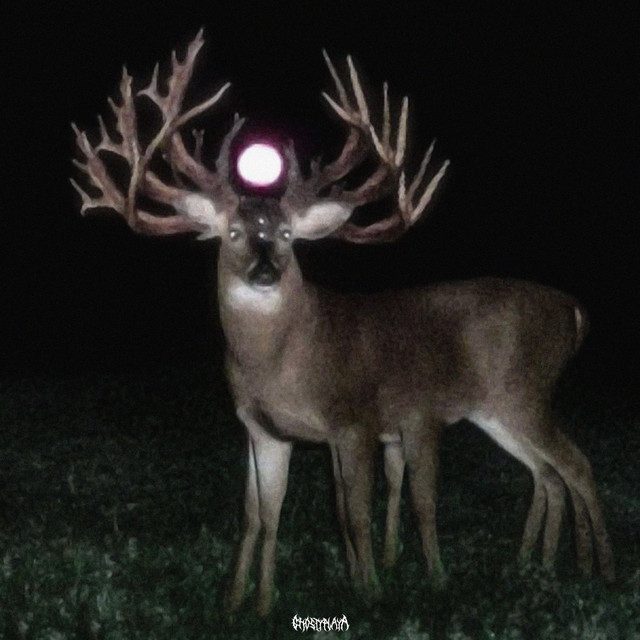 Shadow Play cover art