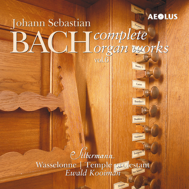 Johann Sebastian Bach: Complete Organ Works played on Silbermann organs Vol. 6