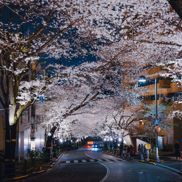 Shibuya cover art