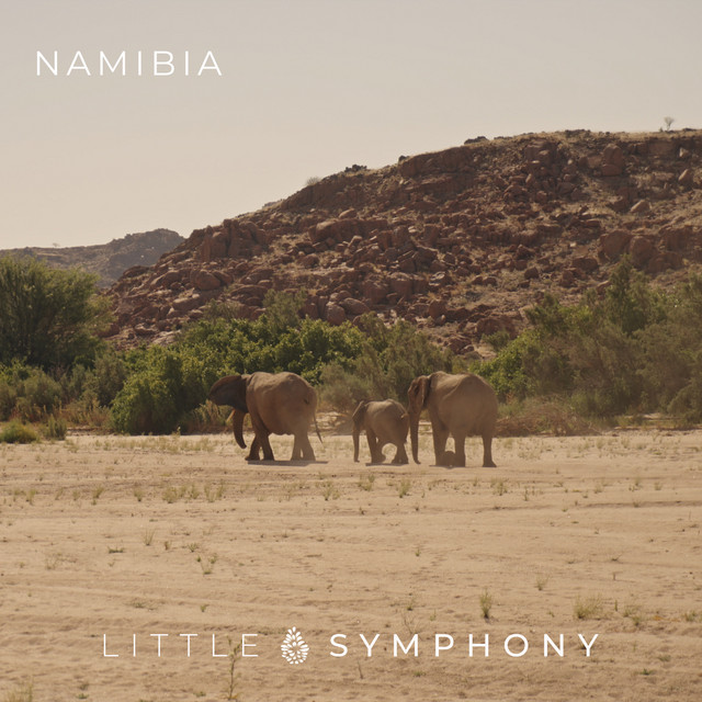 Namibia album image