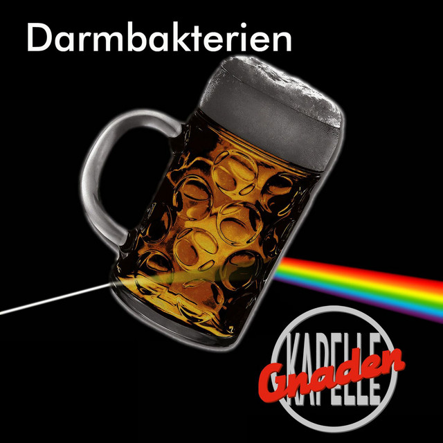 Darmbakterien cover