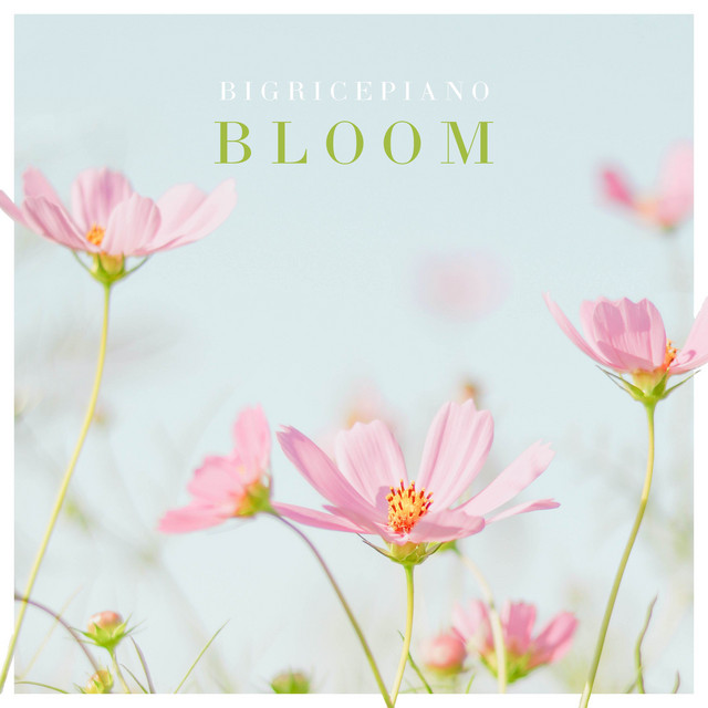 Bloom cover art