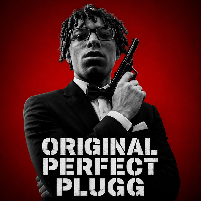 Original Perfect Plugg