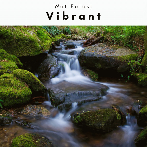 2022 Vibrant cover art