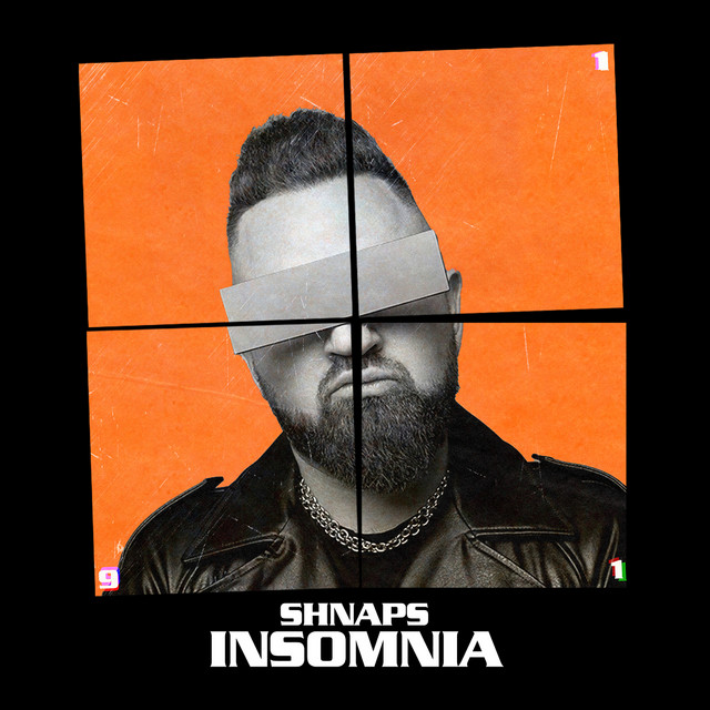 Обкладинка: Insomnia — Shnaps