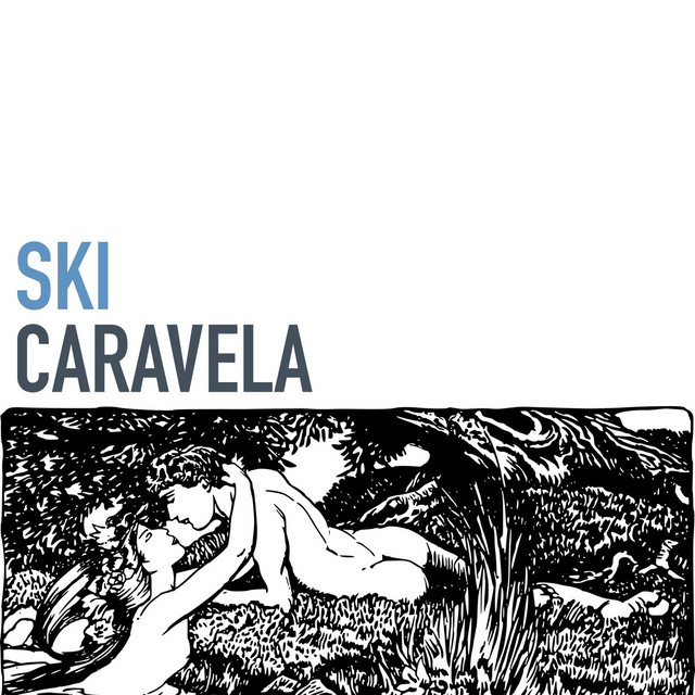 Ski cover art