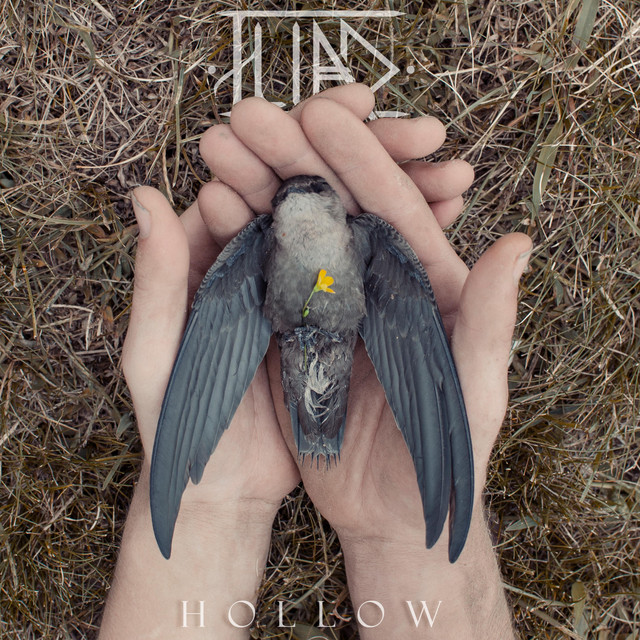 Hollow cover art