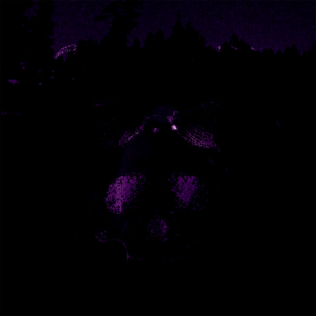 DAS TREVAS cover art
