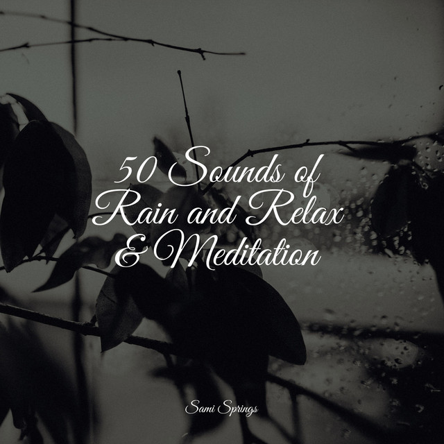 50 Sounds of Rain and Relax & Meditation - Album by Mother Nature FX ...
