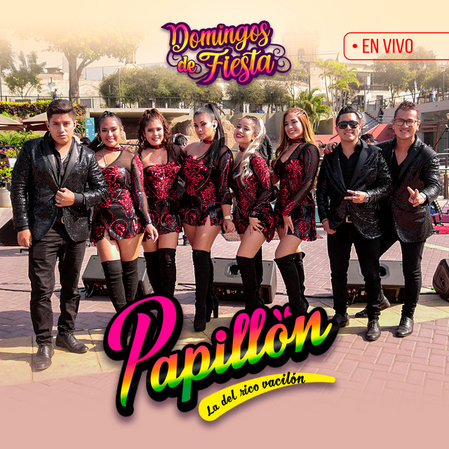 Domingos de Fiesta en Concierto (En Vivo) cover art
