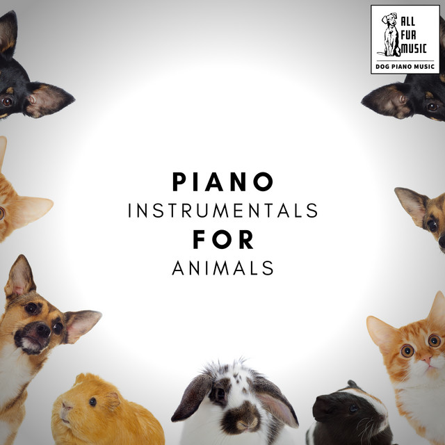 Piano Instrumentals For Animals cover art