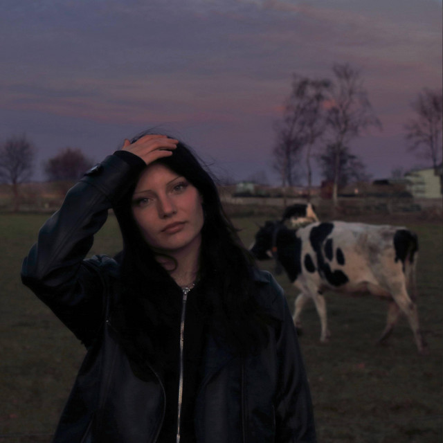 Avond Naar Nacht cover art
