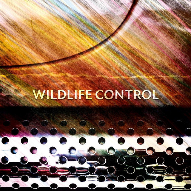Brooklyn - Wildlife Control