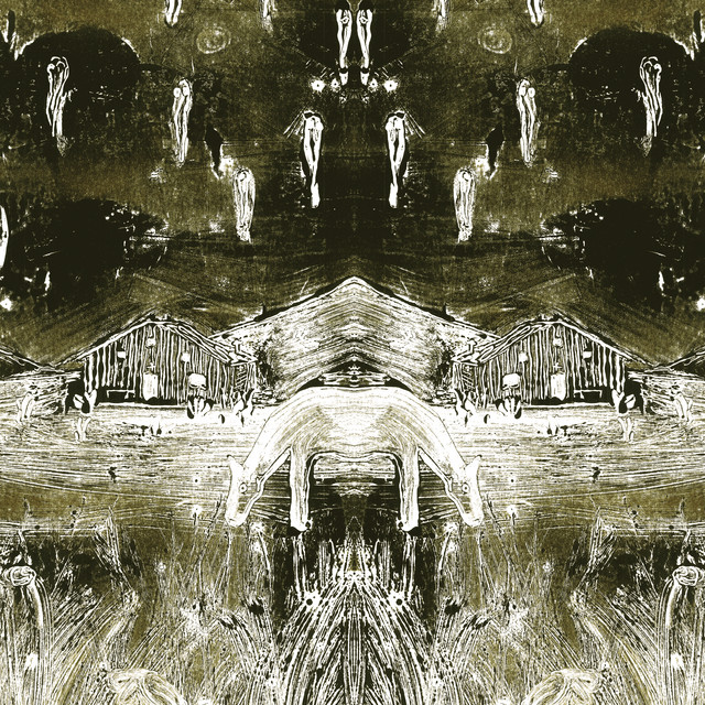 Tadpoles cover art