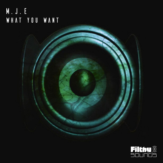 Обкладинка M.J.E — What You Want
