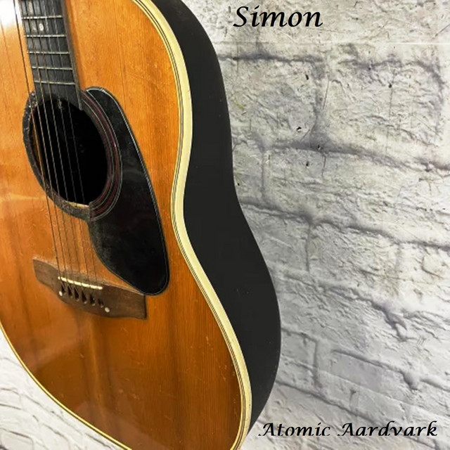 Atomic Aardvark – Simon