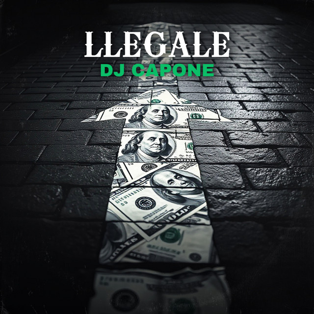 LLEGALE (Instrumental) cover