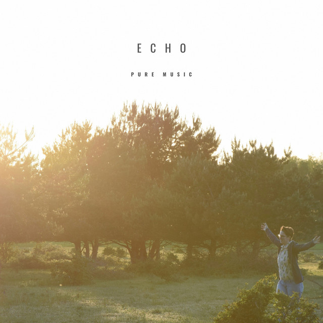 Echo - Single by Pure Music | Spotify