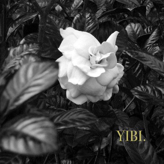 Yibi cover art