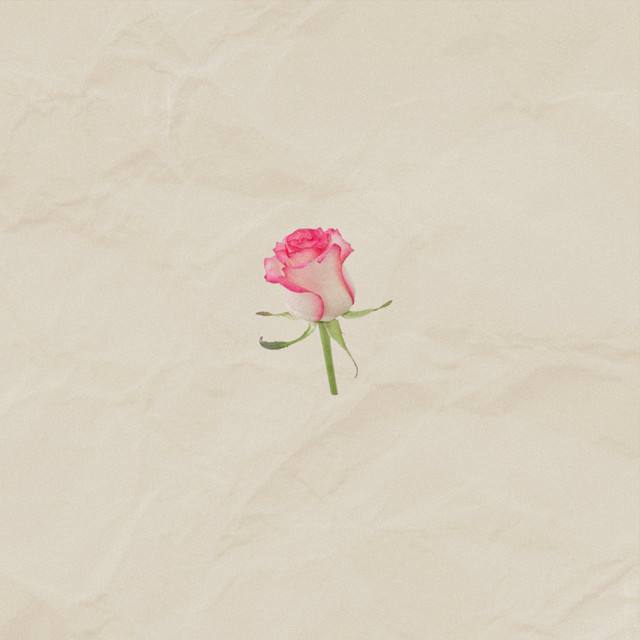Roses cover art
