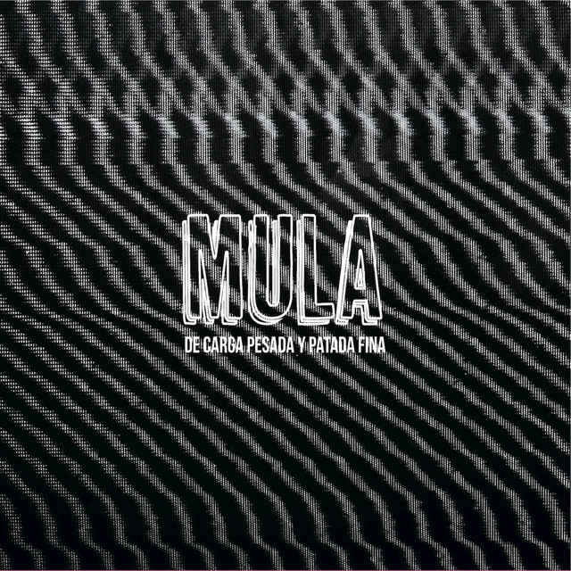 De Carga Pesada y Patada Fina cover art