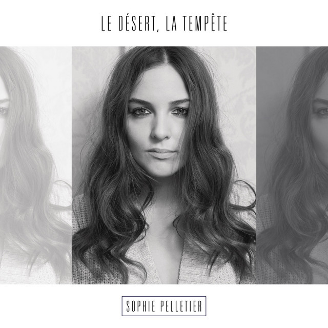 Le désert, la tempête cover art