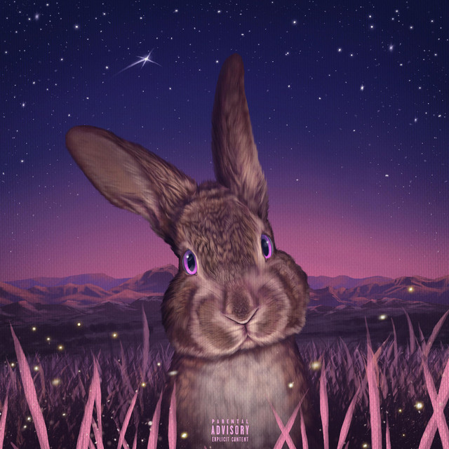 Honey Bunny 2 cover art