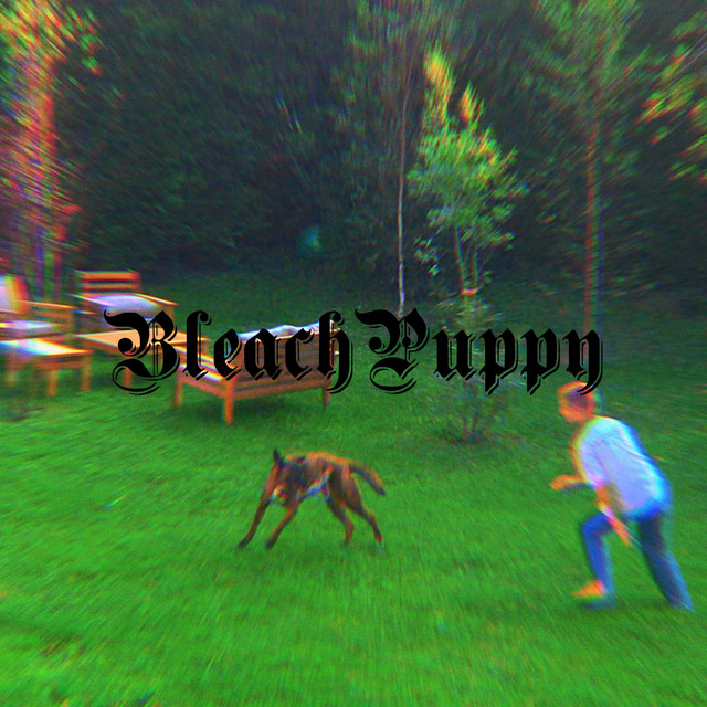 Bleach Puppy cover art