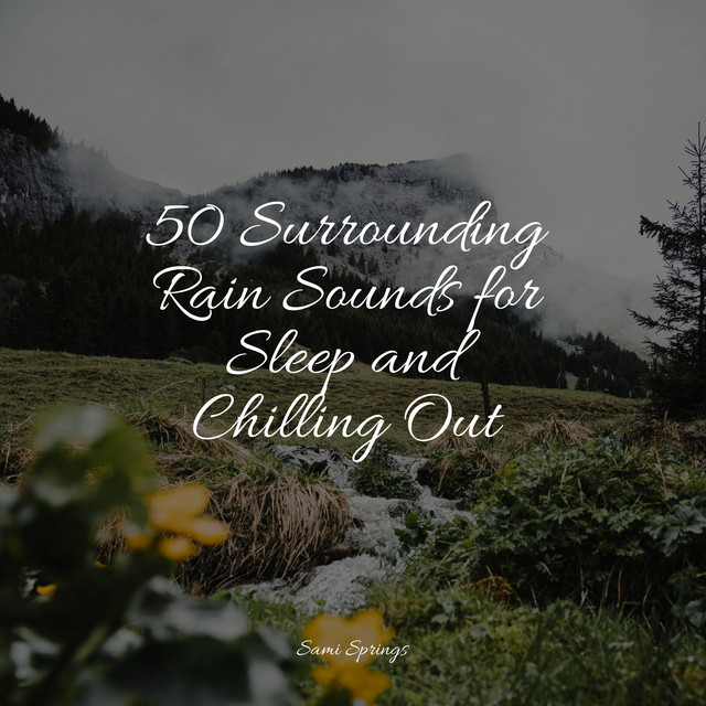 50 Surrounding Rain Sounds for Sleep and Chilling Out - Album by ...