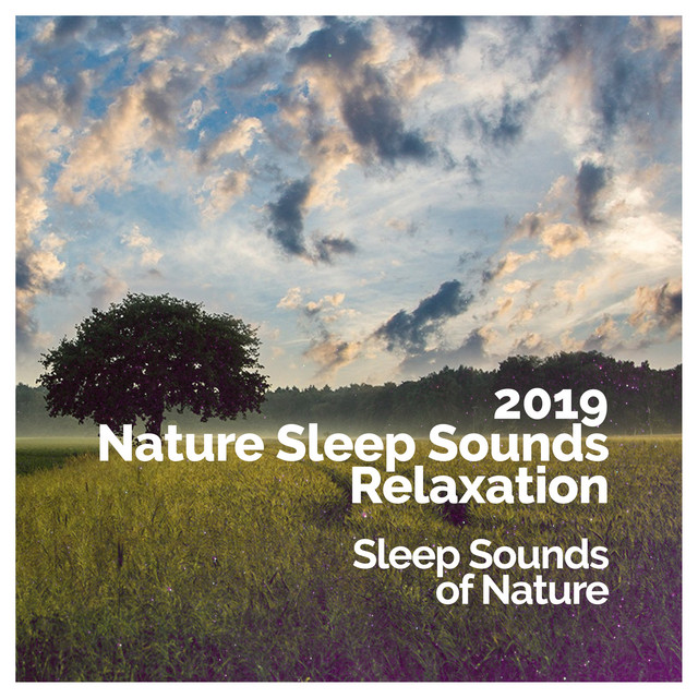 2019 Nature Sleep Sounds - Relaxation - Album by Sleep Sounds of Nature ...