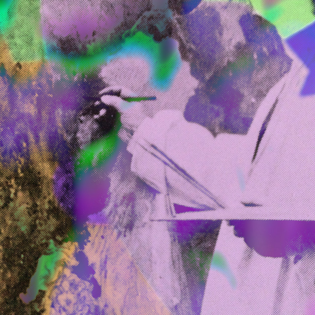 Fluxo cover