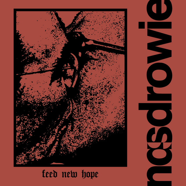 Feed New Hope cover