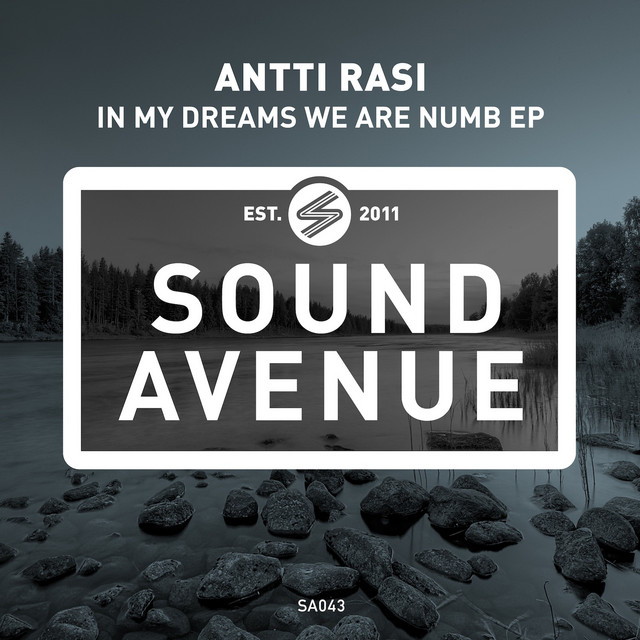 In My Dreams We Are Numb - Original Mix cover art