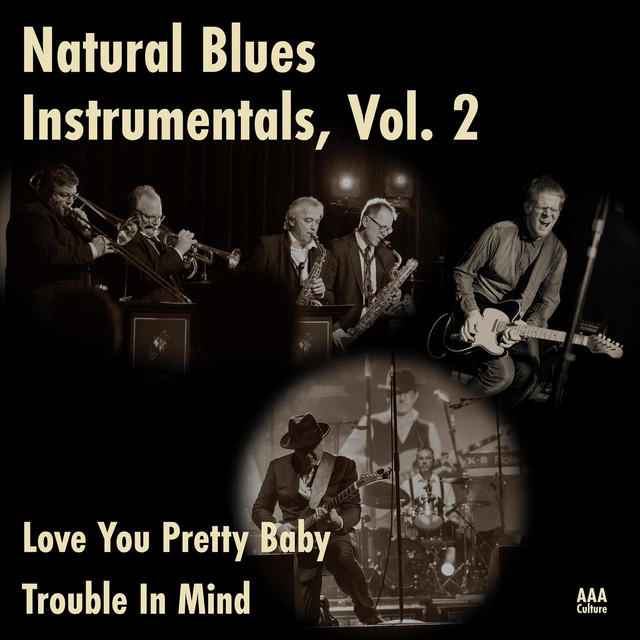 Love You Pretty Baby - Instrumental