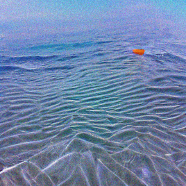 no plastic sea cover art