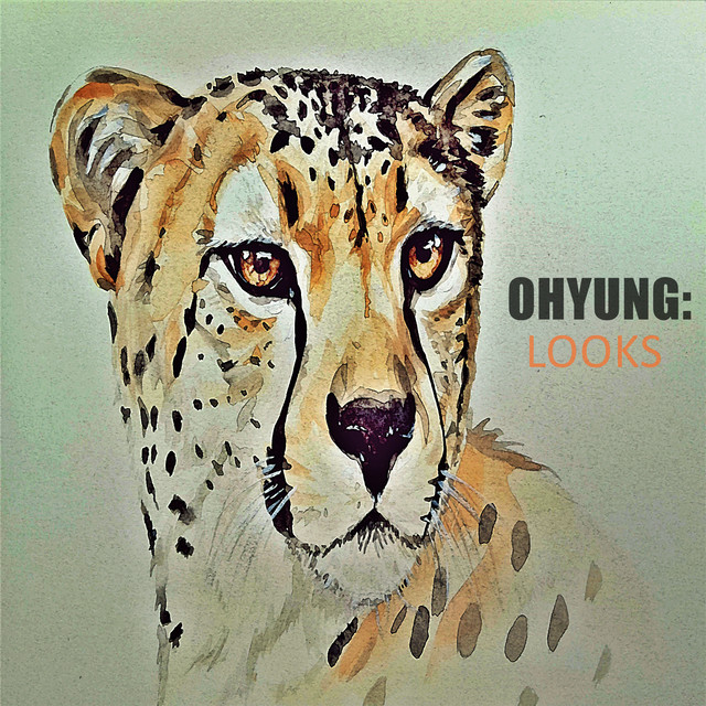 Looks cover