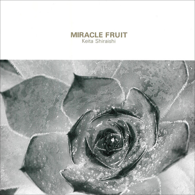 Miracle Fruit cover