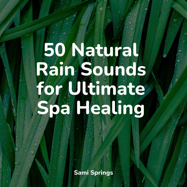 50 Natural Rain Sounds for Ultimate Spa Healing - Album by Winds and ...
