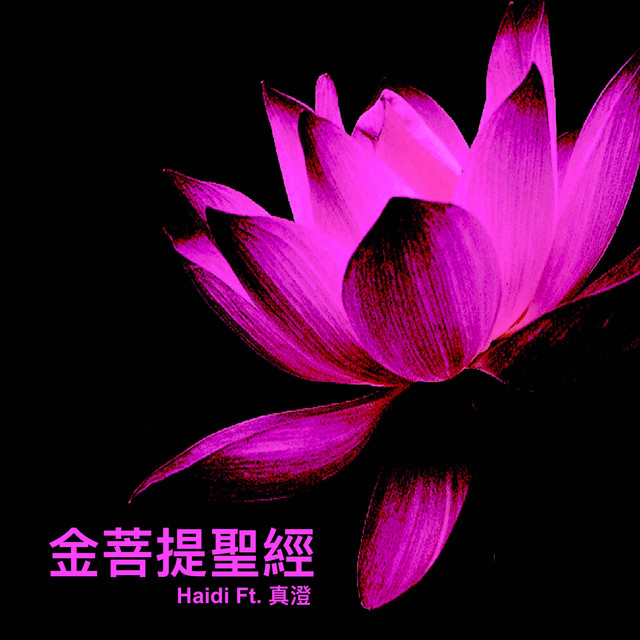 金菩提聖經 Single By Haidi Spotify