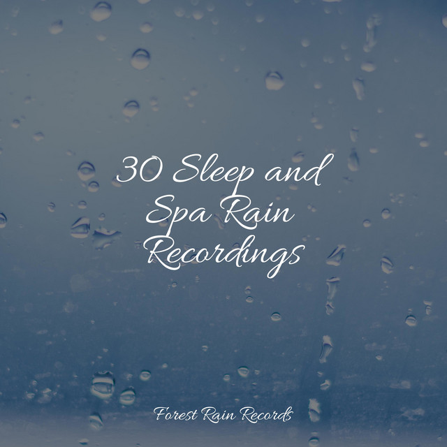 30 Sleep and Spa Rain Recordings - Album by Alpha Brain Waves | Spotify
