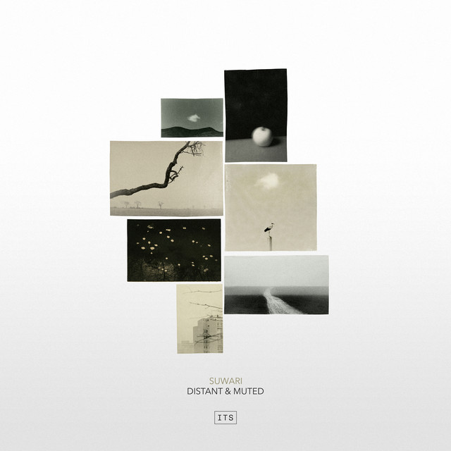 Distant & Muted cover art