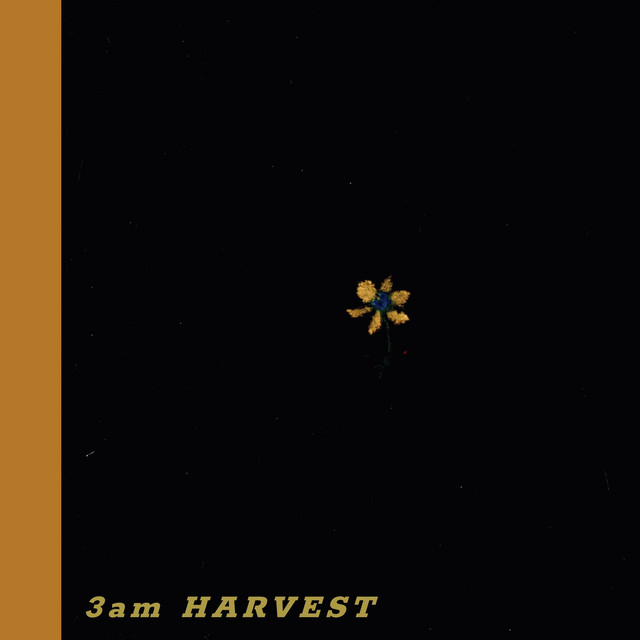 Обкладинка: 3am HARVEST — Myaso Rave