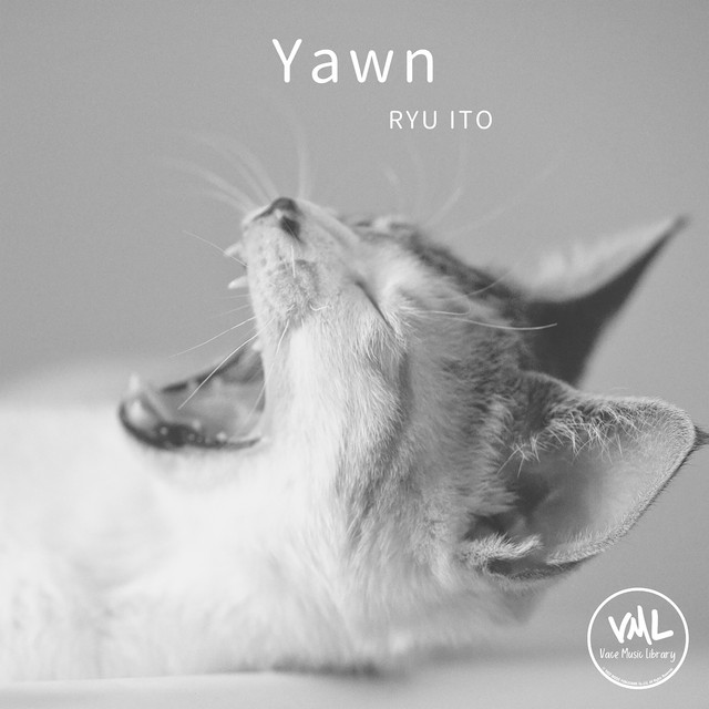 Yawn cover art