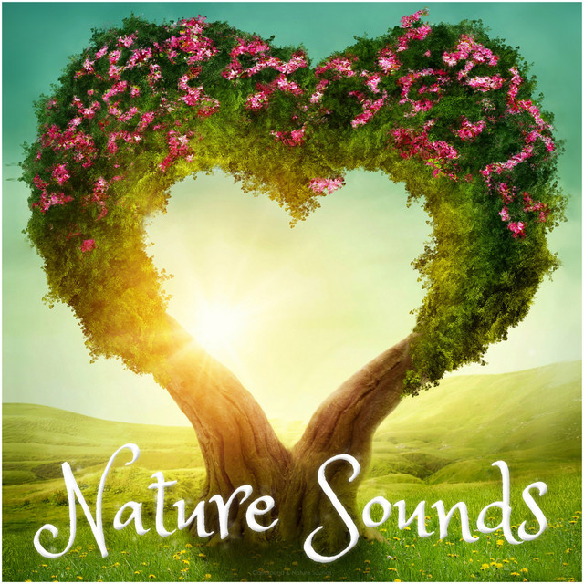 Deep, Arctic Wind Sounds