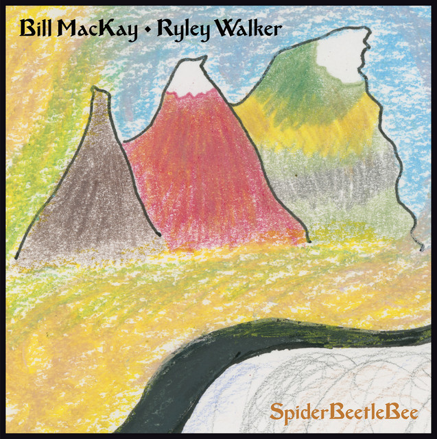 SpiderBeetleBee cover art