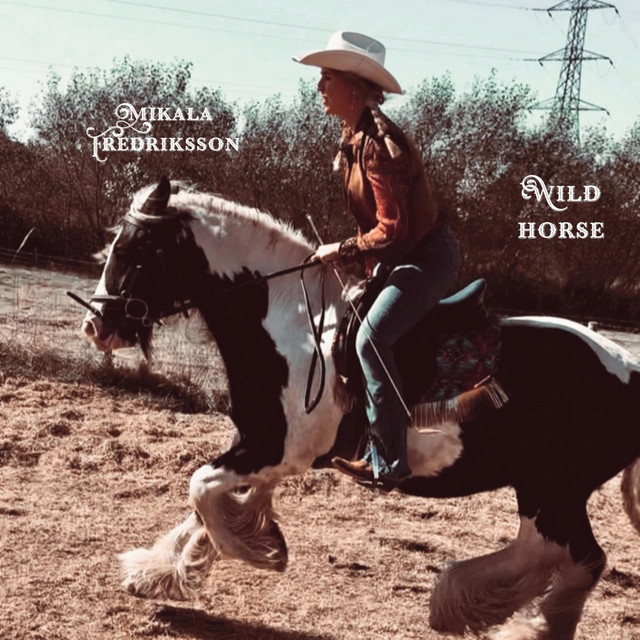 Wild Horse cover